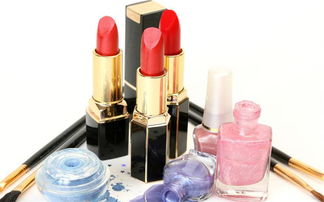 世紀佳人化妝品連鎖代理加盟費用及進出口代理服務解析